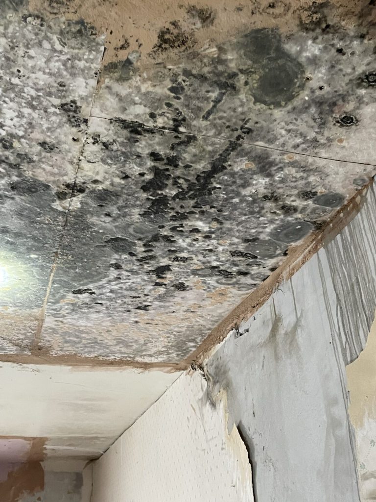Severe case of black mould caused by condensation in a property in Cardiff