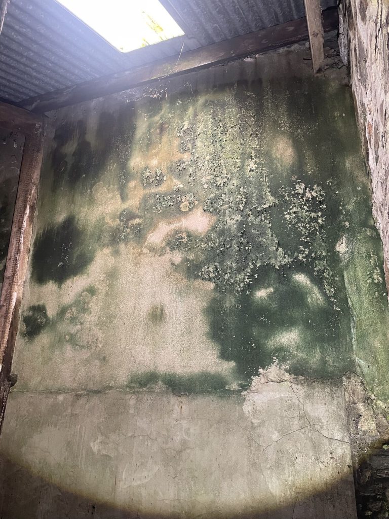 A severe case of penetrating damp in a Bristol property