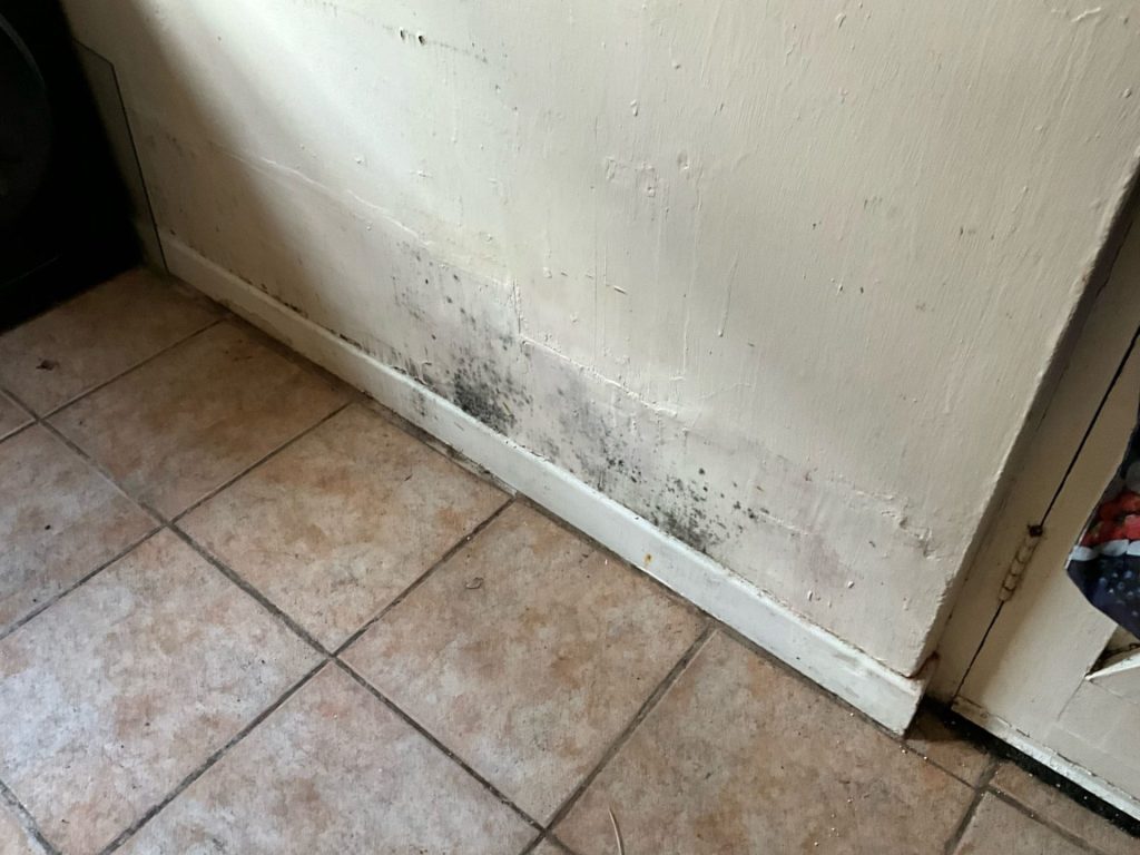 The Seven Signs of Rising Damp in London Homes 3 nottingham bridging plaster damp mould floor level Timberwise