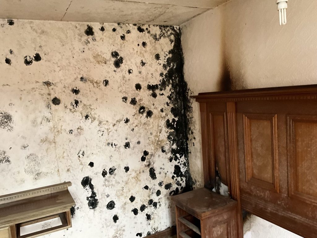 nottingham severe black mould fire damaged bedroom wall Timberwise