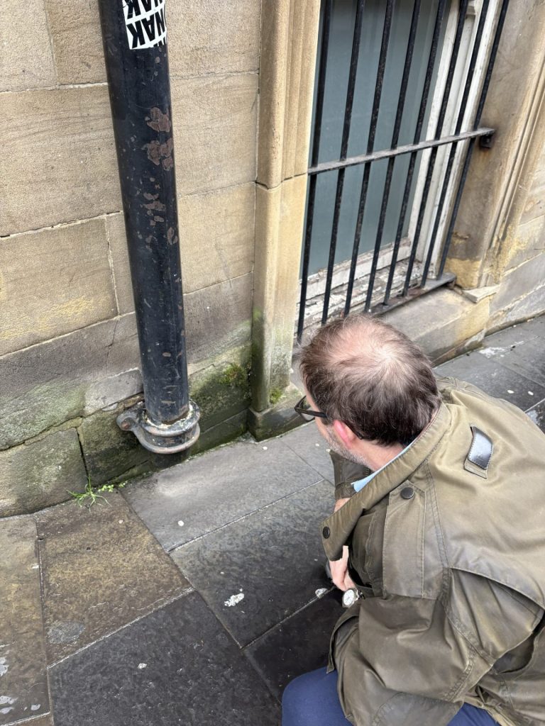 newcastle downpipe damp inspection Timberwise