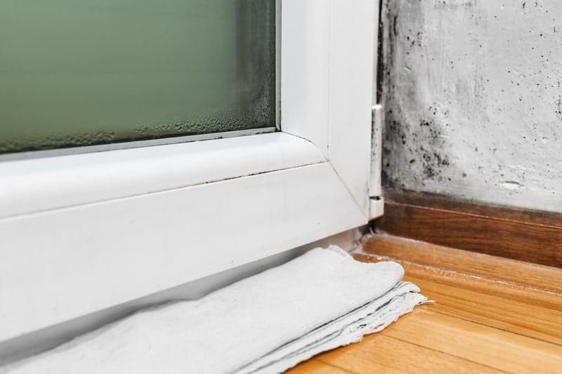 Winter Condensation Checklist for UK Landlords 2 Condensation formed in cellar with early signs of black mould spots