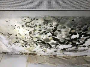 How To Get Rid of Black Mould in a Bathroom? 1 heavy black mould on ceiling