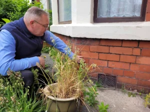 Is Damp Worse In Terraced Houses? 3 Is Damp Worse In Terraced Houses?