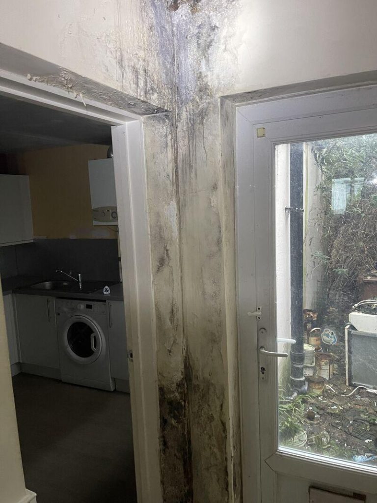 Severe damp and mould on wall in Portsmouth