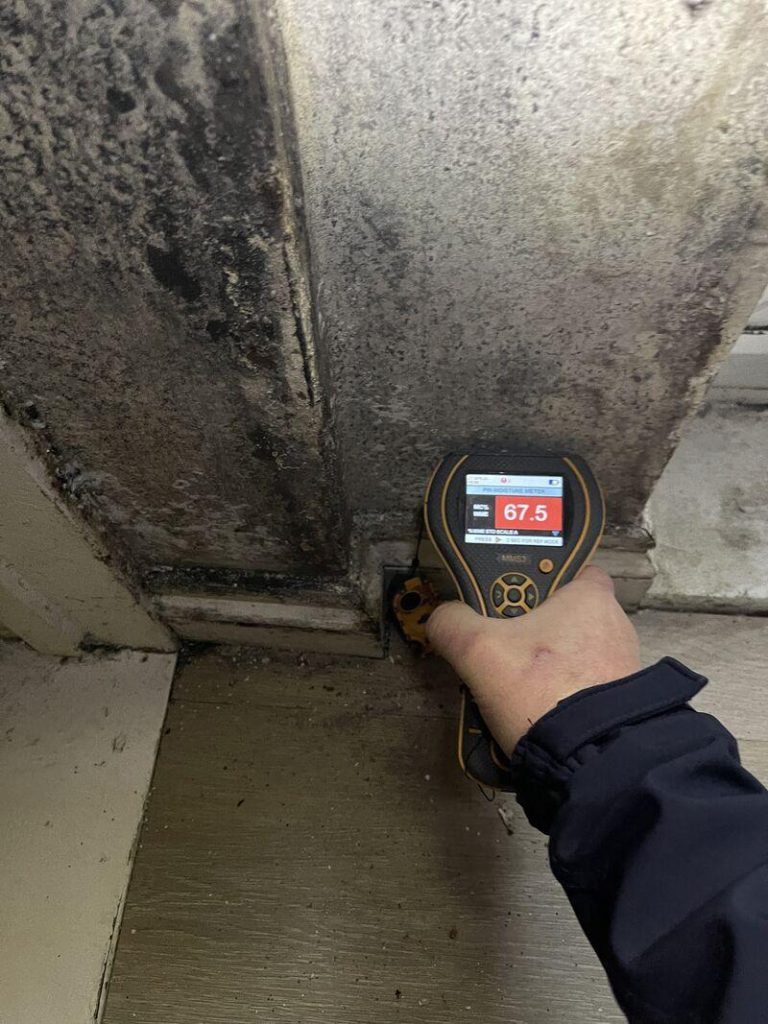 Damp meter reading on skirting board in Portsmouth