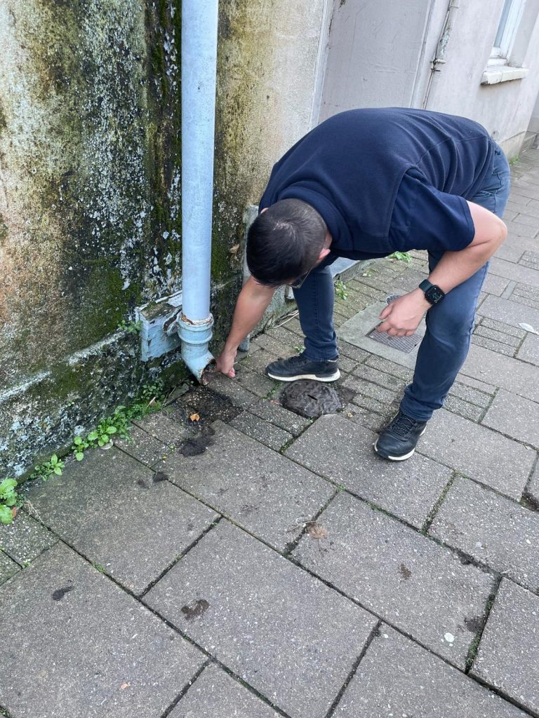 Timberwise surveyor inspecting damp area by drain in Wincester