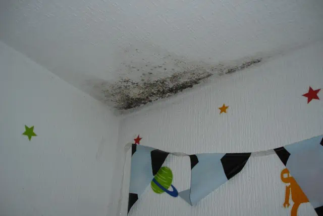 What Does Awaab’s Law Mean for Tenants, Landlords, and Housing Associations? 1 Condensation mould in childs bedroom Timberwise
