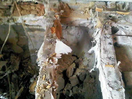 How To Identify Dry Rot 3 Dry rot attacking a wooden floor Timberwise