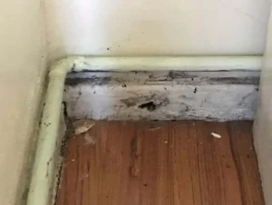Is Damp Worse In Terraced Houses? 2 Why Might Damp Develop in a Terraced House