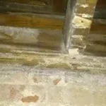 C3