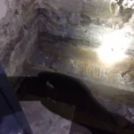 Decay-on-joists