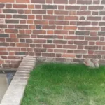 Ground-Levels