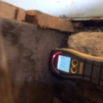 High-moisture-content