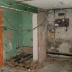 Timberwise Basement Waterproofing