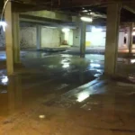 damp
