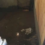flooded-basement-1024x743