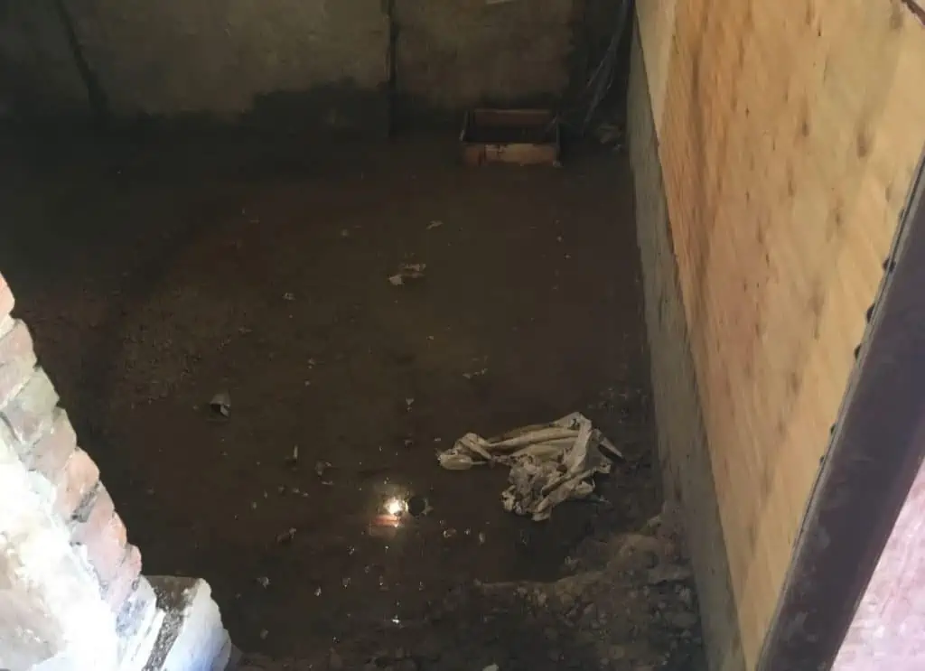 What London Properties Are Prone to Flooding? 31 flooded basement 1024x743 1 Timberwise