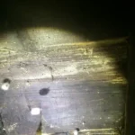 woodworm-pic-2