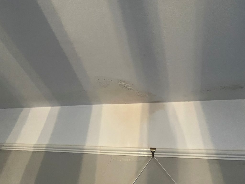 Damp stains on the ceiling of a property in Yarcombe