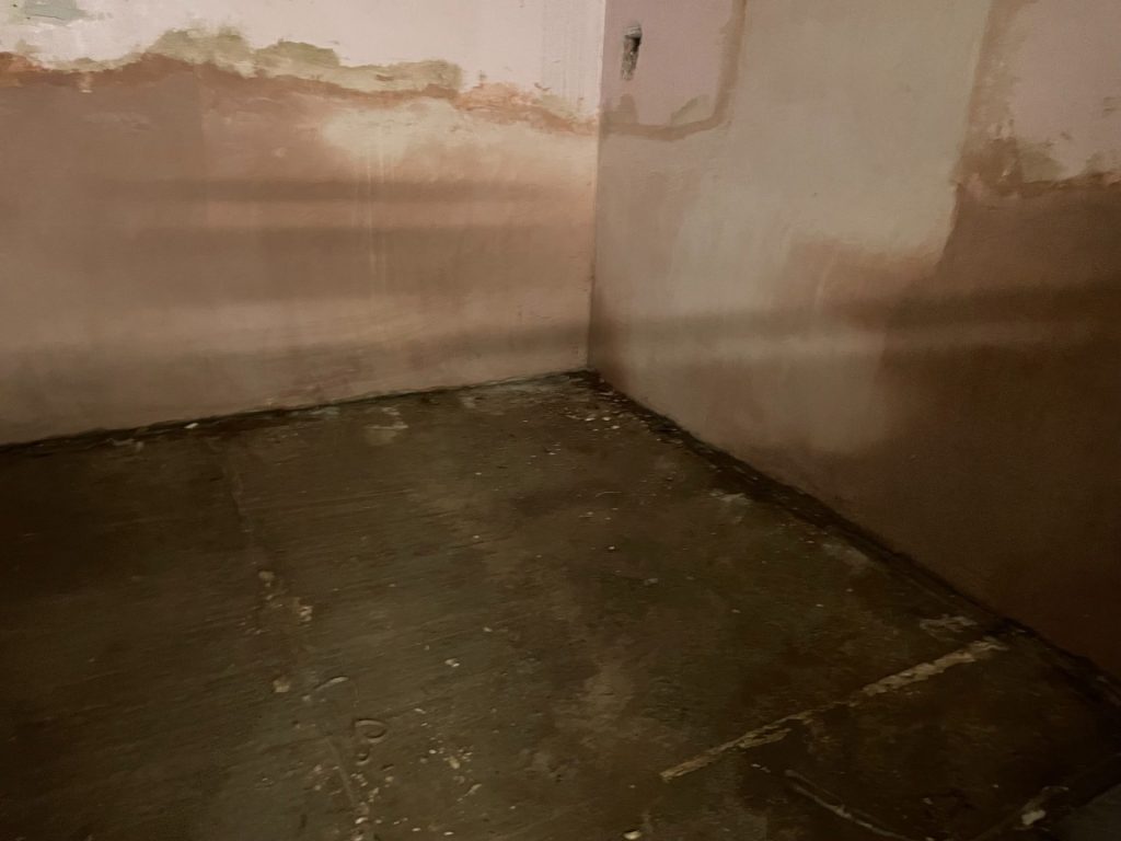 Damp damage on internal wall surface in a property in Yeovil