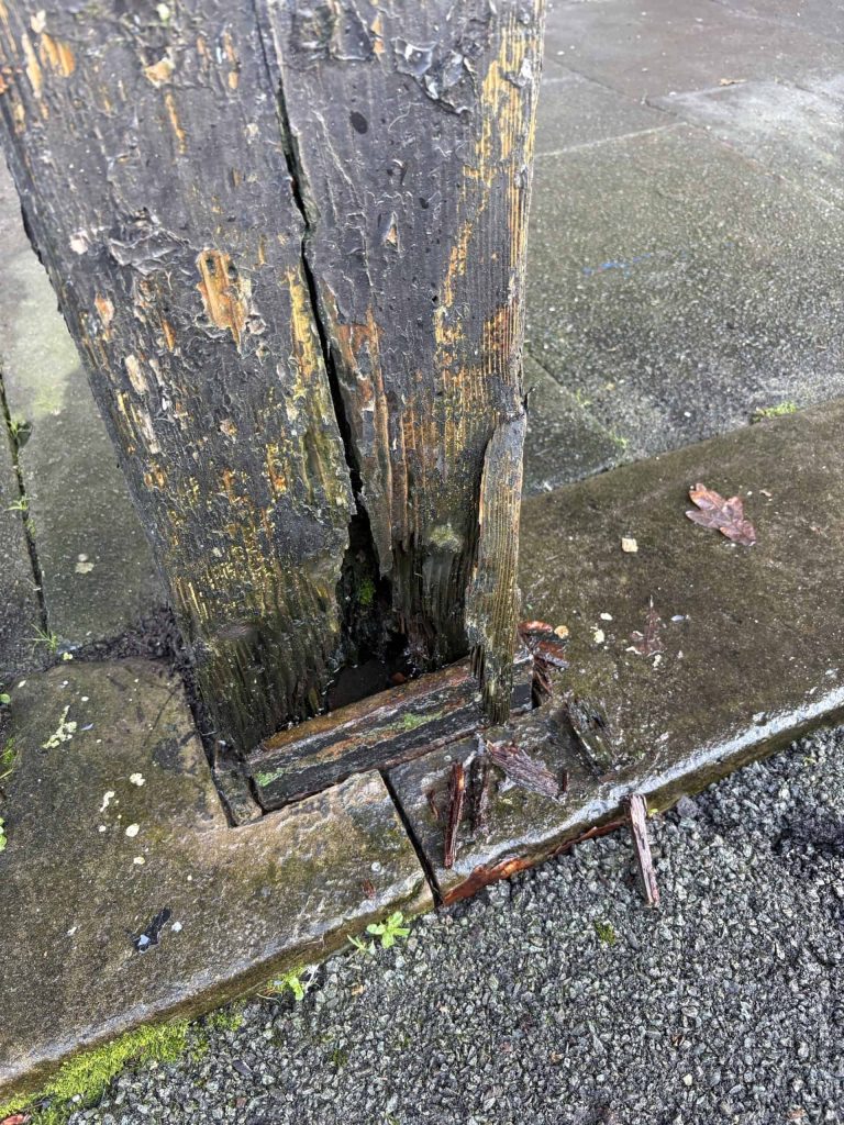 What Should I Do If My Neighbour Has Wet Rot? 38 What Should I Do If My Neighbour Has Wet Rot?