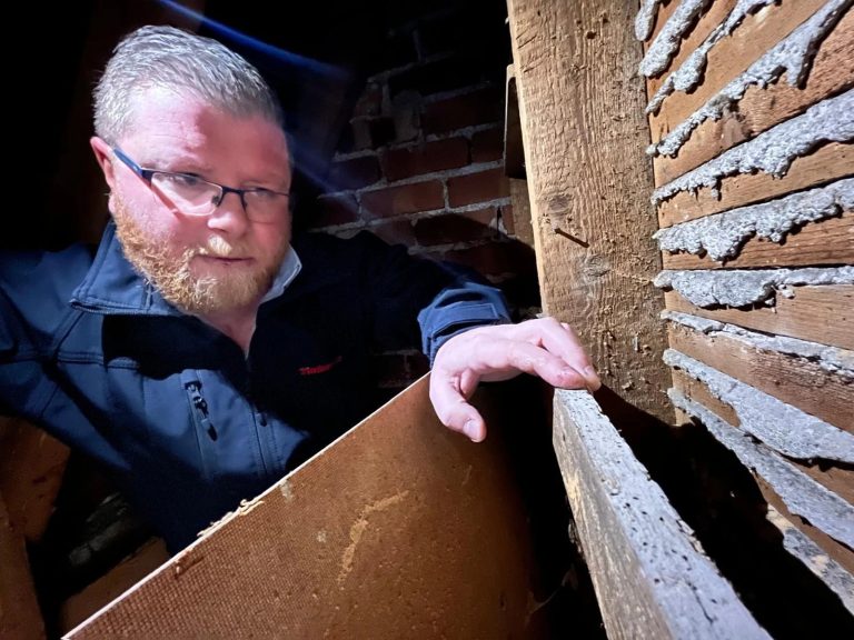 Bristol Damp Proofing PPC Page 7 Timberwise Scotland