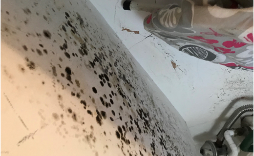 How to Prevent Condensation and Mould in Your New-Build Home 5 Black mould growing on a wall Timberwise