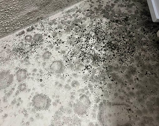 How to Prevent Condensation and Mould in Your New-Build Home 1 1. How to Prevent Condensation and Mould in Your New-Build Home