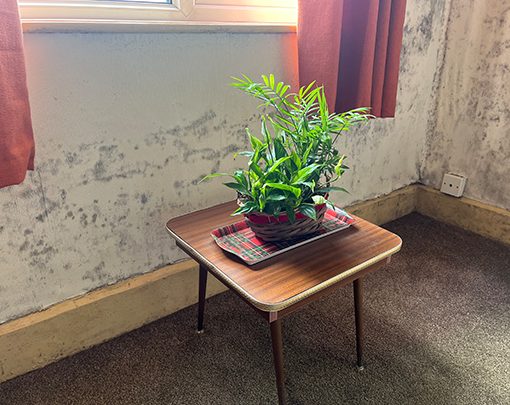 What Do Awaab’s Law Updates Mean for Estate & Letting Agents? 2 Black mould spreading in a living room Timberwise