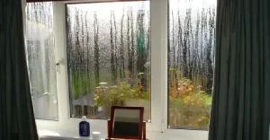 How to Prevent Condensation and Mould in Your New-Build Home 1 Condensation on an interior window
