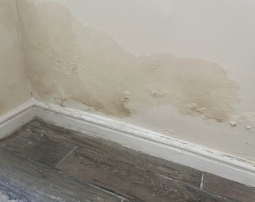 Rising damp spreading on a properties interior wall