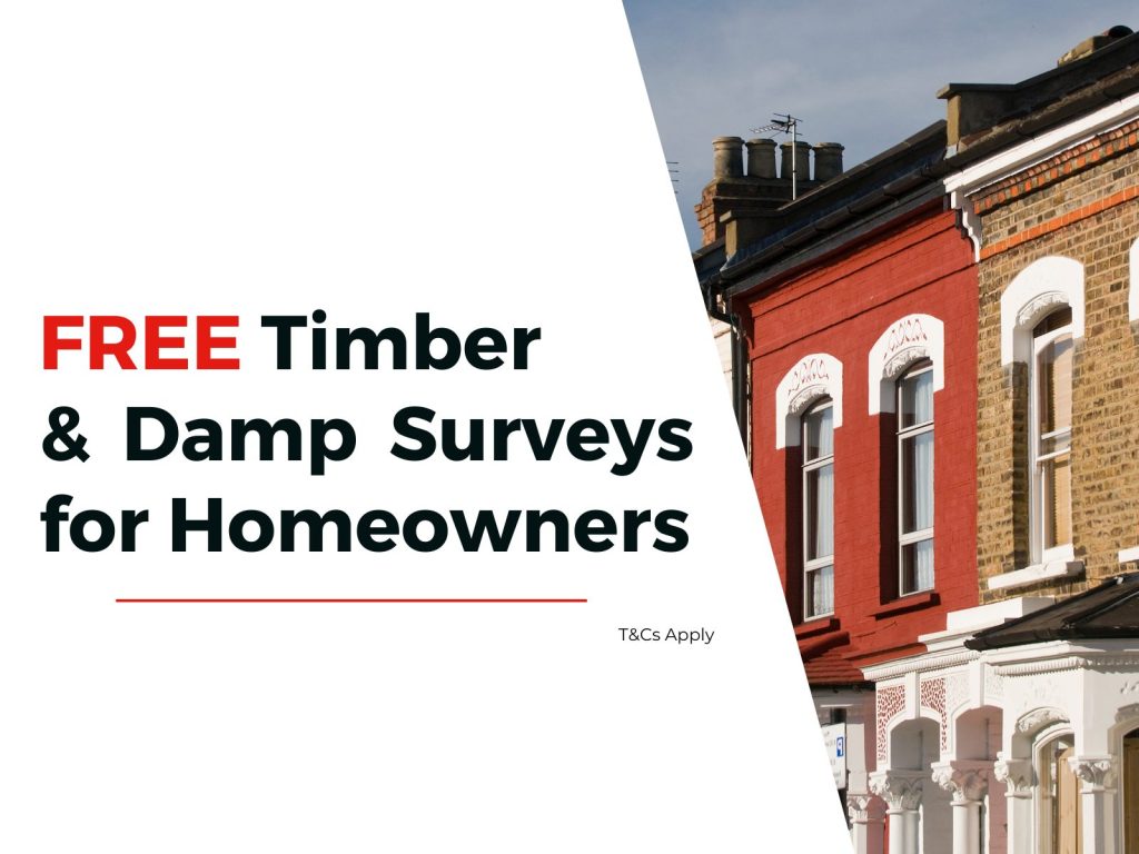 Timberwise Free timber and damp survey for homeowners Timberwise