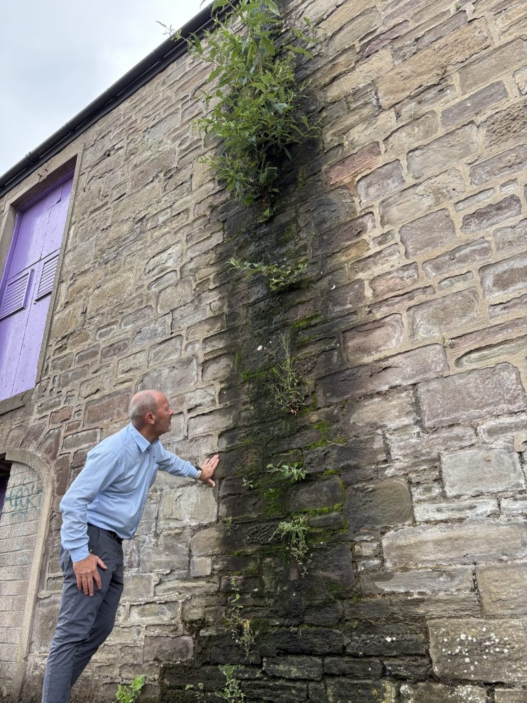 Significant penetrating damp on the exterior of a stone building, being inspected by a Timberwise surveyor