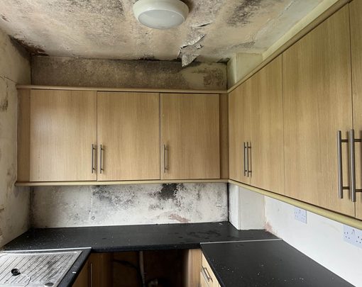 What Do Awaab’s Law Updates Mean for Estate & Letting Agents? 1 condensation ruining a kitchen Timberwise