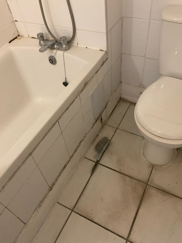 How To Get Rid of Black Mould in a Bathroom? 2 Black mould around bathroom fixtures and floor tiles