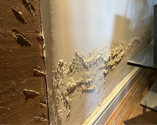 The Seven Signs of Rising Damp in London Homes 1 Rising Damp above a skirting board 1 Timberwise