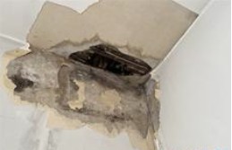 Bedroom ceiling corner collapse due to wet rot decay