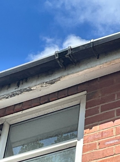 rot and decay on a roof fascia.