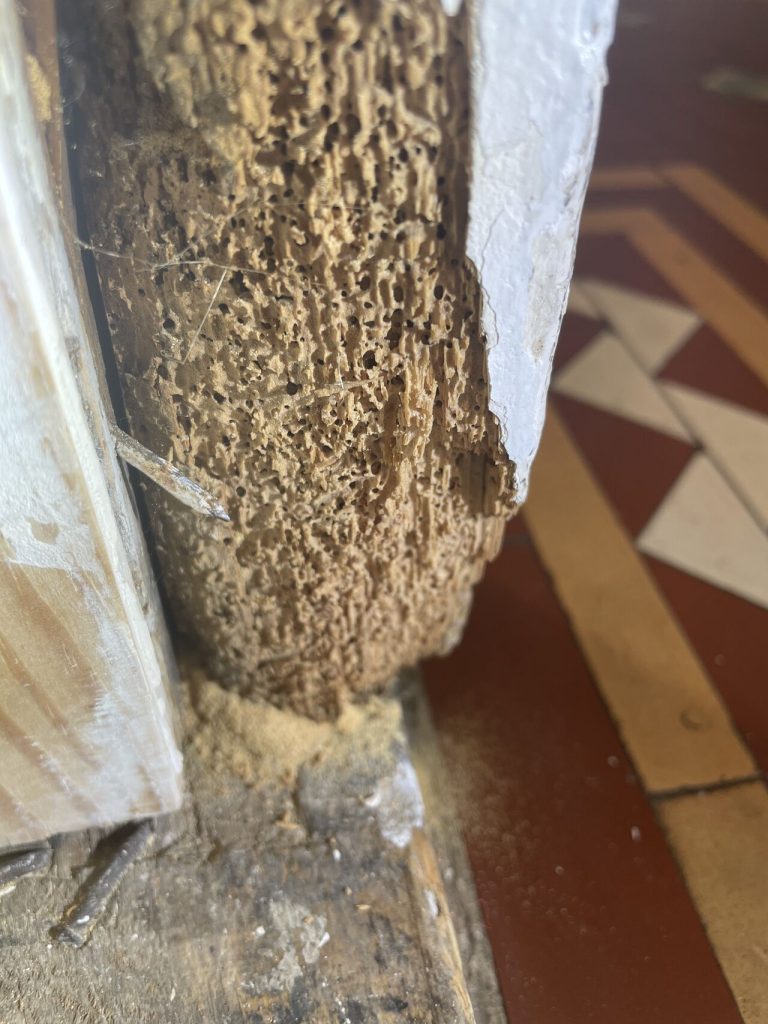Woodworm damage on door frame in Hackney