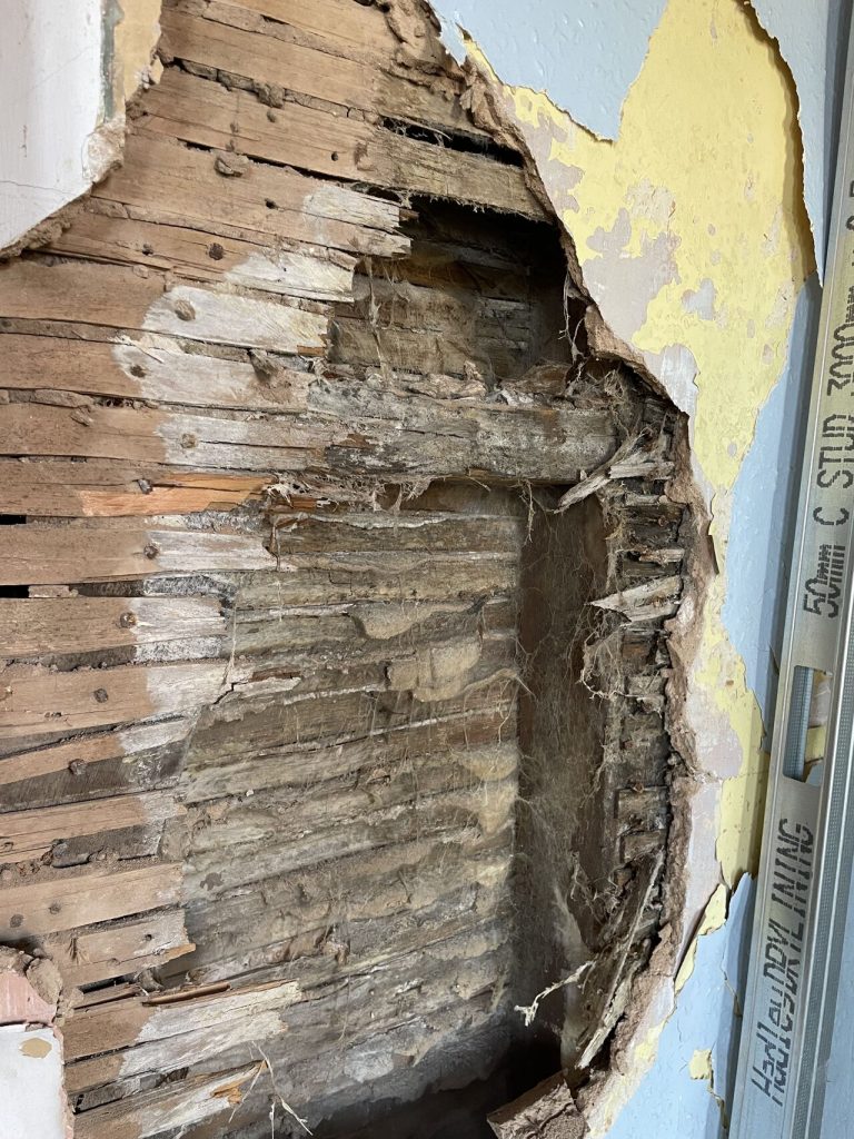 Severe dry rot damage to wall in a Lincoln property