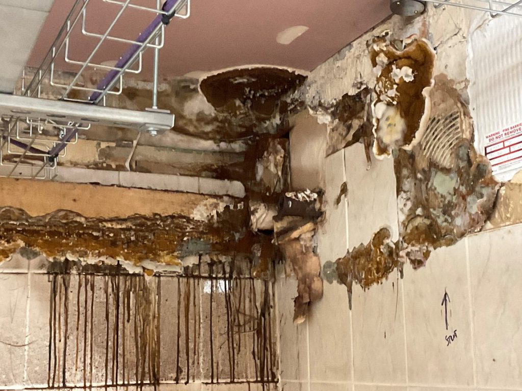 Severe dry rot damage in a property in Lincoln