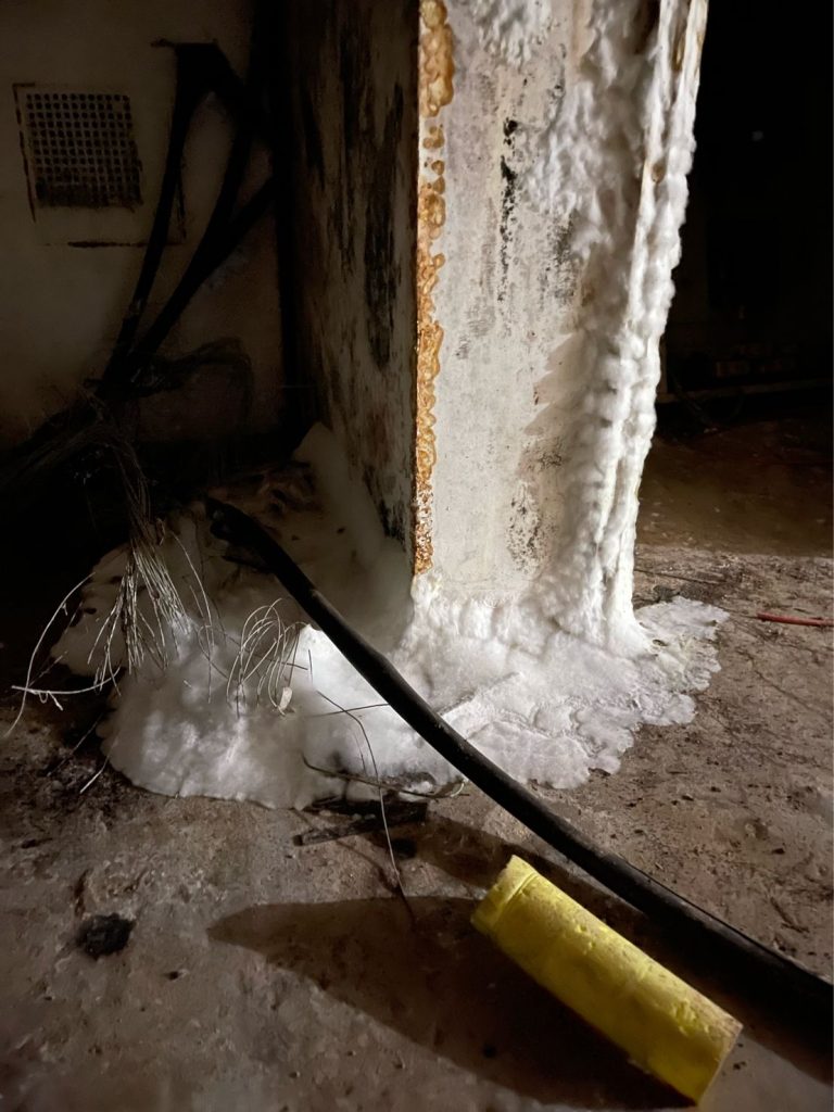 Wet Rot vs Dry Rot in Commercial Buildings: Identification & Prevention 3 Dry rot hyphae growth in a basement