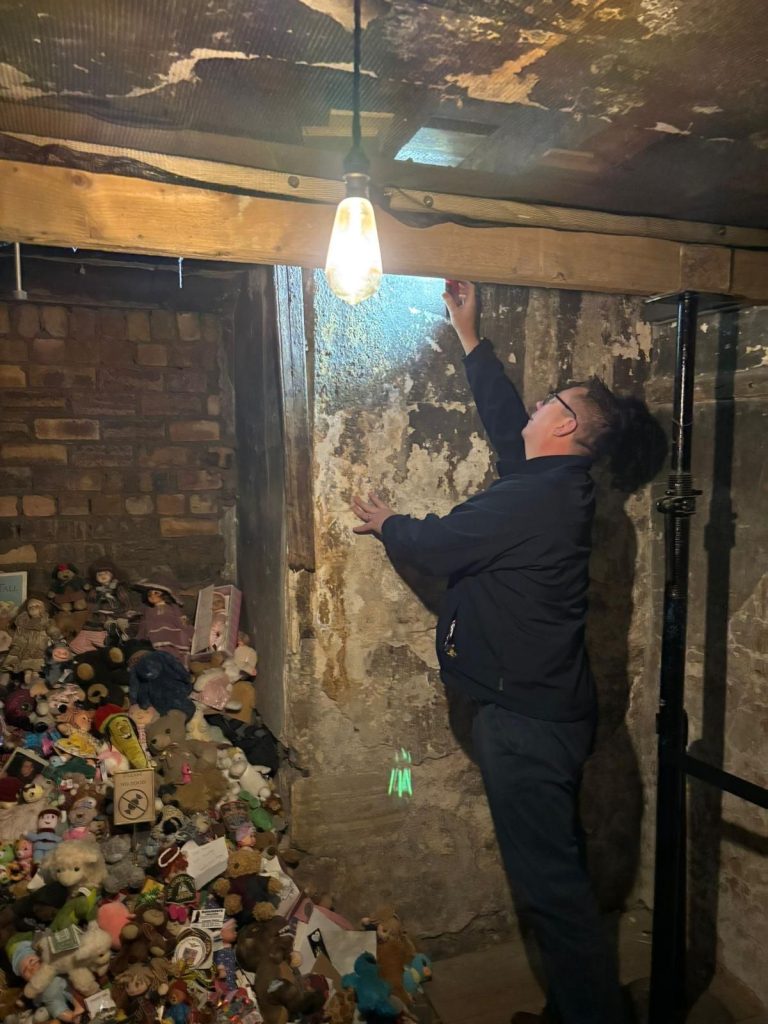 Timberwise Sheffield Woodworm Survey Timberwise