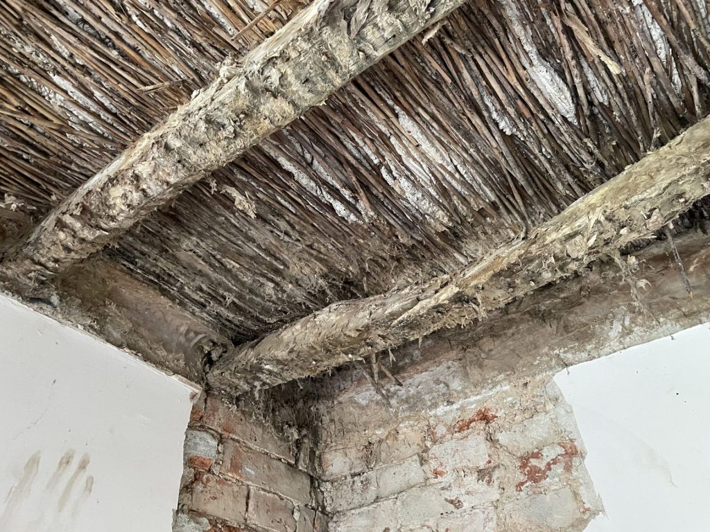 Wet Rot vs Dry Rot in Commercial Buildings: Identification & Prevention 22 Dry rot hyphae on timber ceiling beams in a Nottingham property