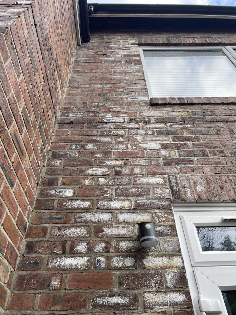 Brick wall with efflorescence stains at a building in Newcastle.