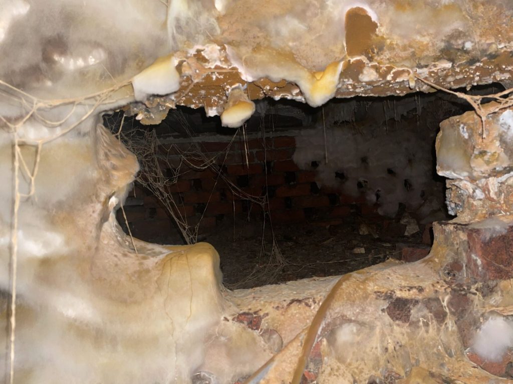 Dry rot damage in a wall cavity in Newcastle.