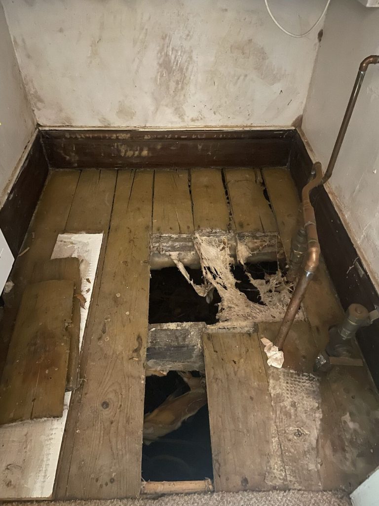 Damaged wooden floor in Newcastle with visible dry rot.