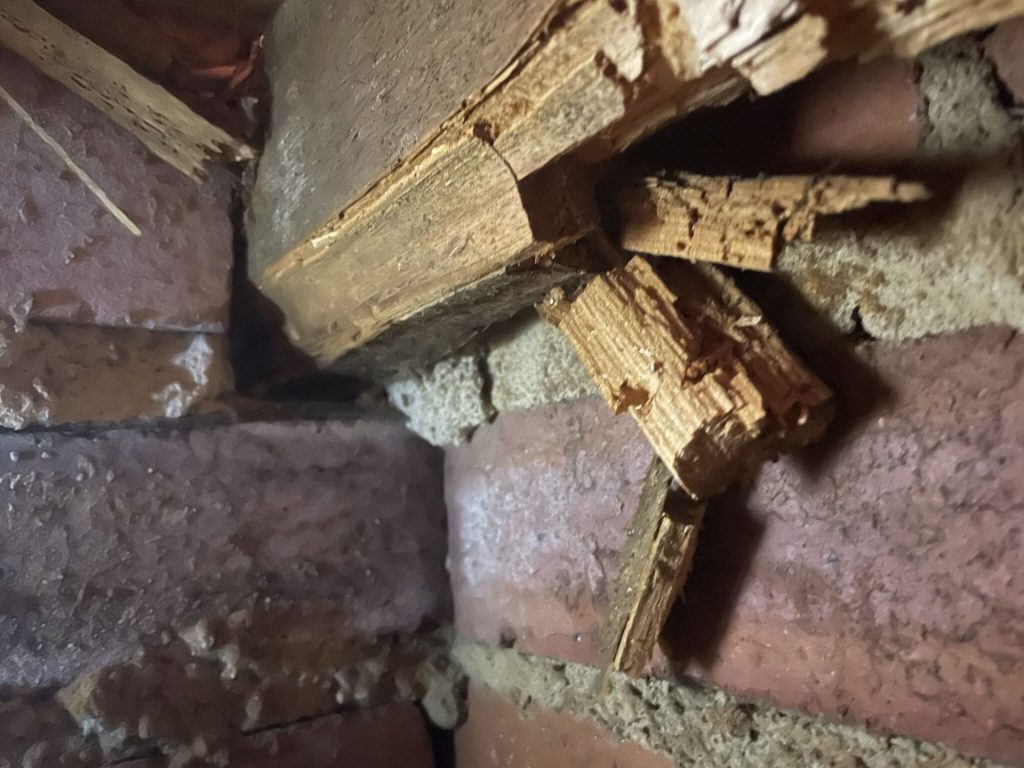 Damaged wooden subfloor joist in a property in Newcastle