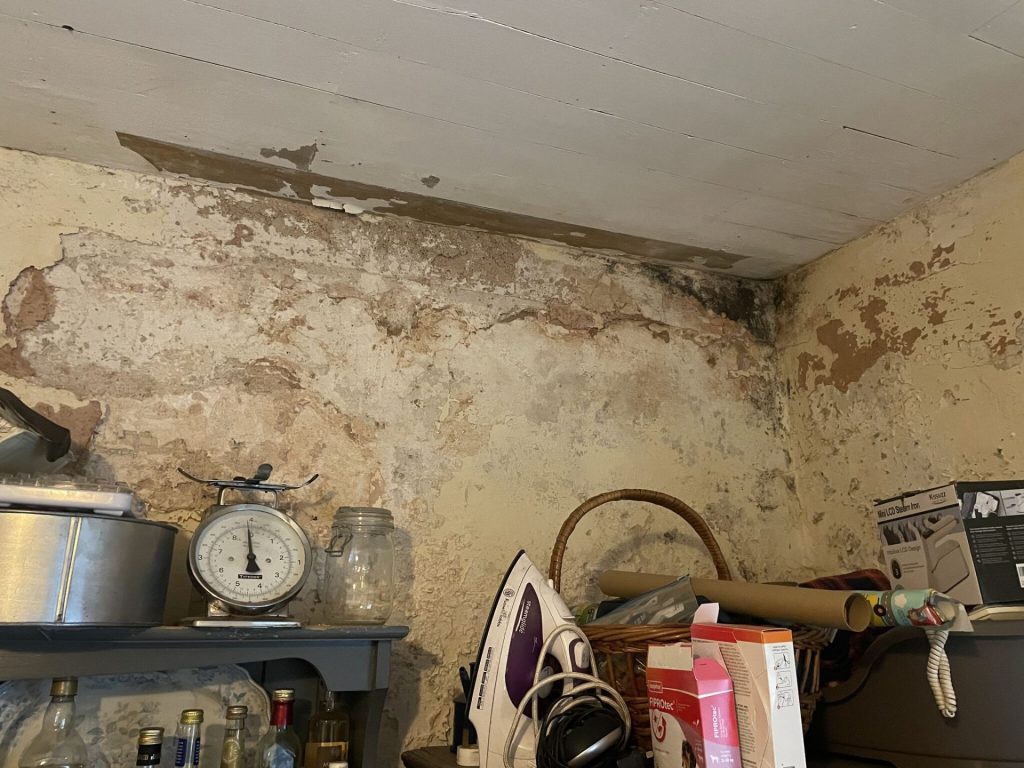 Damp wall with peeling paint in Newcastle